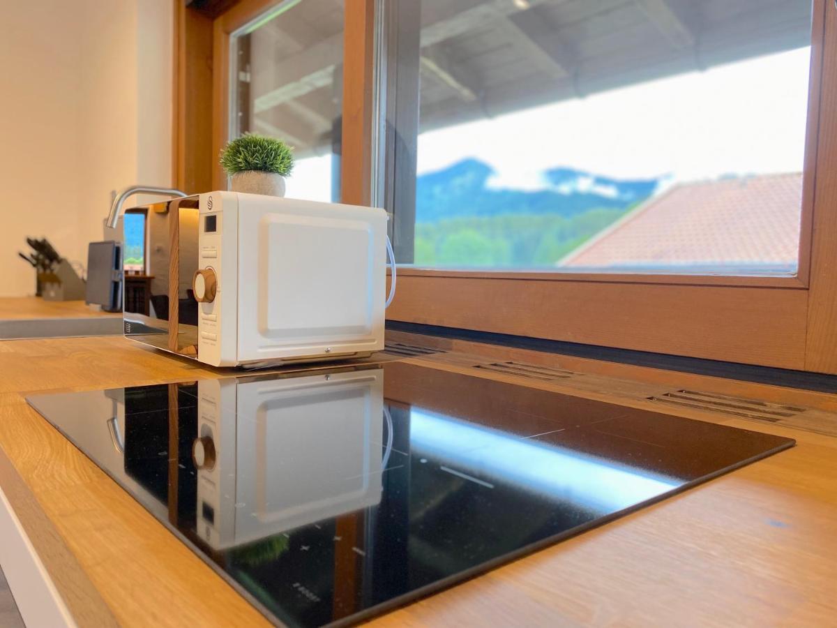 Grosszuegige Ferienwohnung Am Tegernsee Mit Suedbalkon Und Wallbergblick Бад Виезее Екстериор снимка